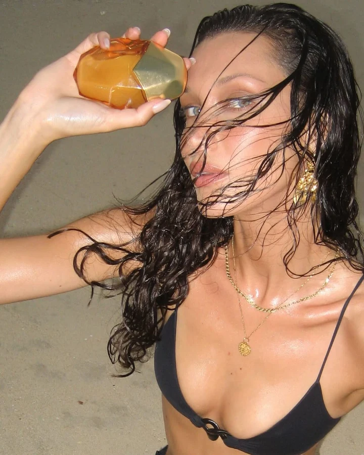 Bella Hadid Career