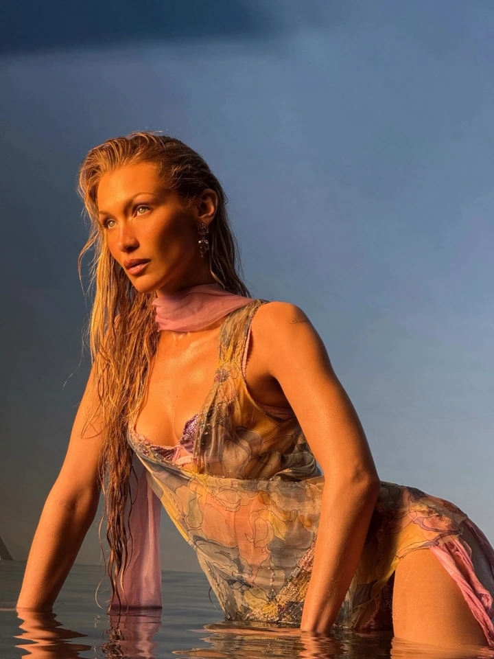 Bella Hadid New Instagram Image