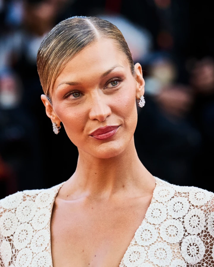 Bella Hadid Palestinian heritage